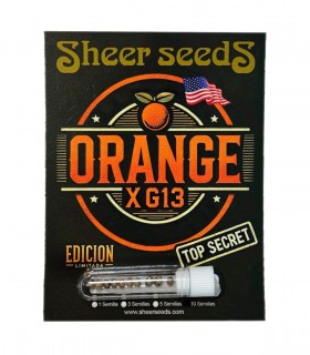 Orange X G13