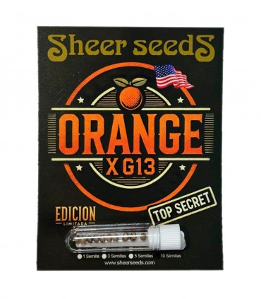 Orange X G13