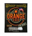 Orange X G13